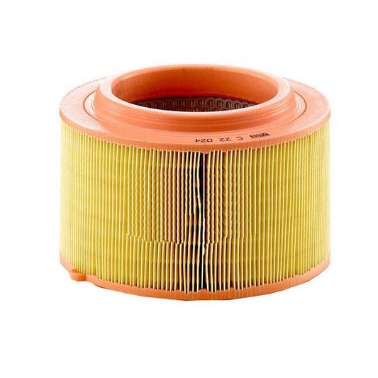 FILTRO AIRE MANN C 22024