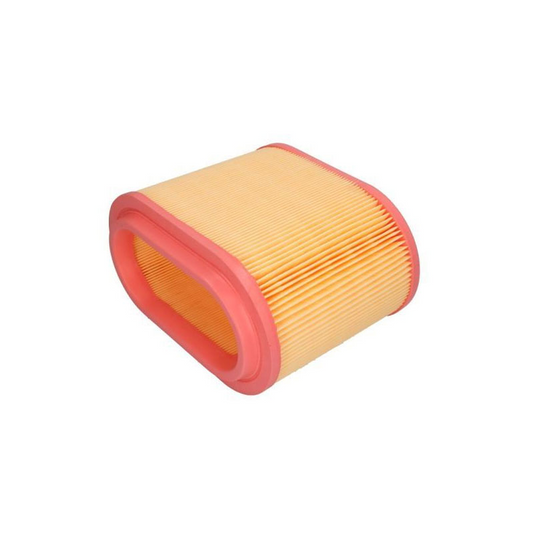 FILTRO AIRE MANN C 24196
