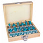 SET DE FRESAS 12MM 12 PZAS. TOTAL (TACSR2121)