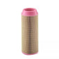 FILTRO AIRE MANN C 14200/1