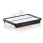 FILTRO AIRE MANN C 29019