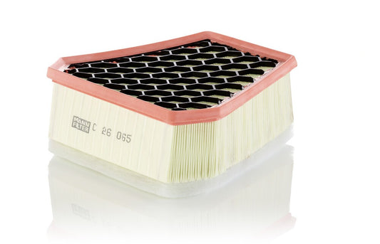 FILTRO AIRE MANN C 2656